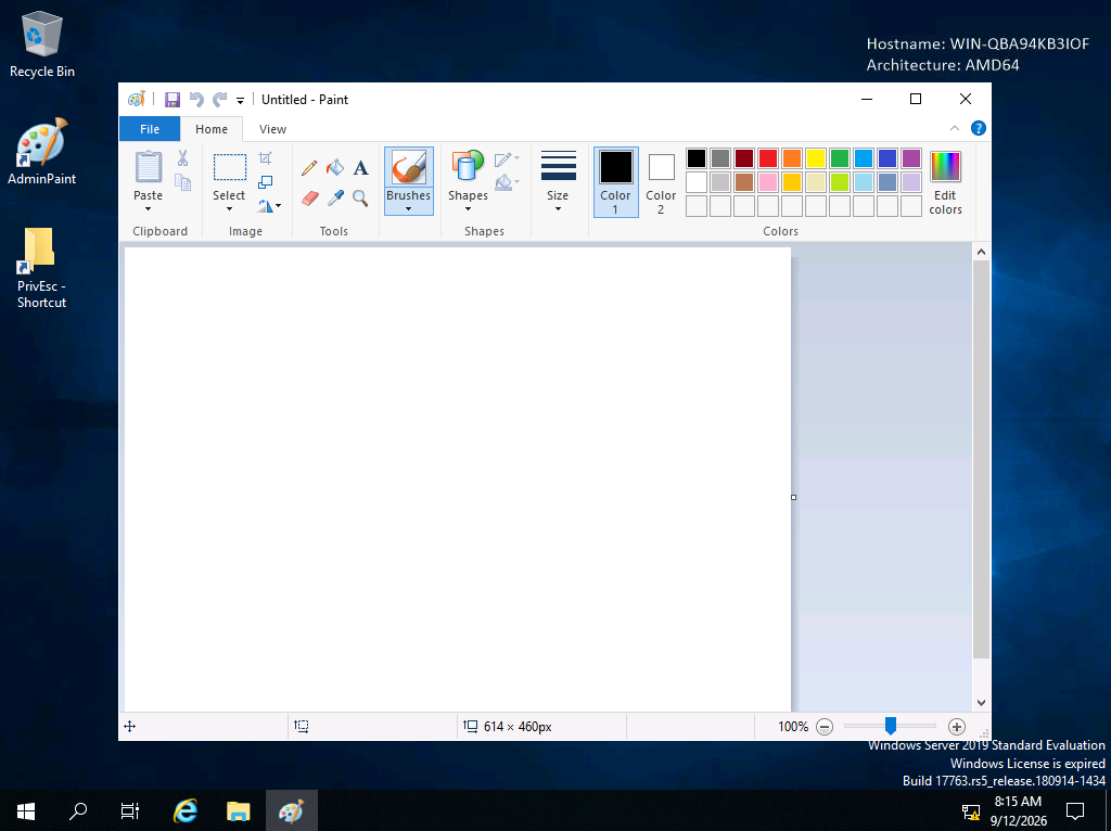 Desktop showing an "AdminPaint" shortcut and an open, untitled instance of MS Paint