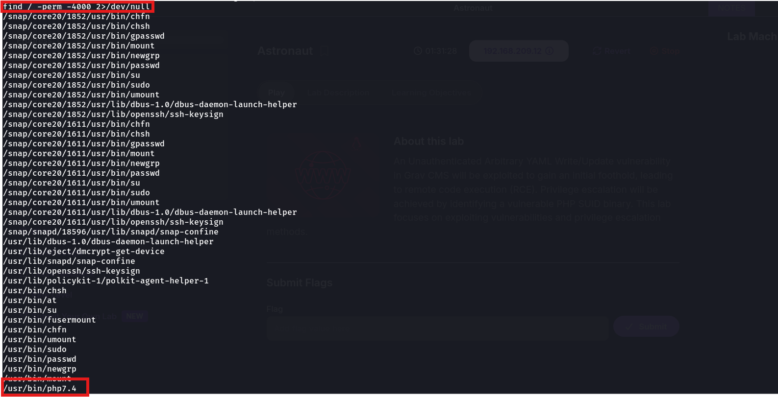 SUID enumeration output showing php7.4 at the bottom