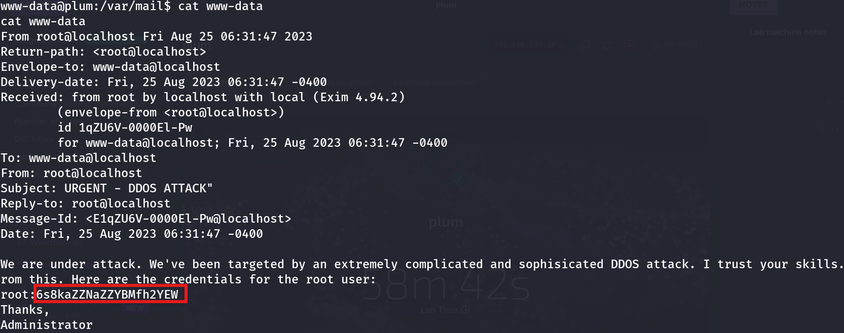 contents of the www-data mailbox: an urgent-looking email from root@localhost containing plaintext root credentials