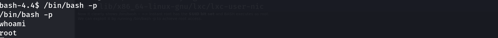 Terminal showing /bin/bash -p invoked, followed by whoami returning root