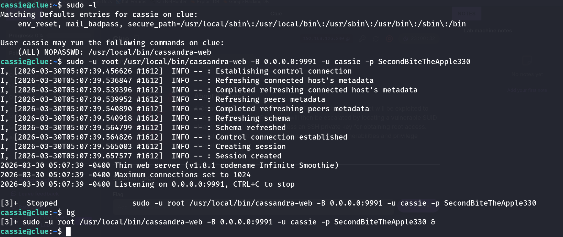 sudo -l output for cassie on clue, showing a NOPASSWD rule for /usr/local/bin/cassandra-web, followed by the command being run and binding to port 9991