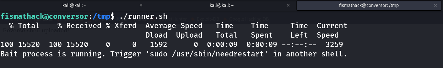 Terminal showing runner.sh executing, downloading the payload, and printing the bait-process-running message