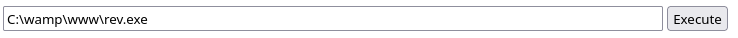 Executing C:\wamp\www\rev.exe through Hack.php's command field