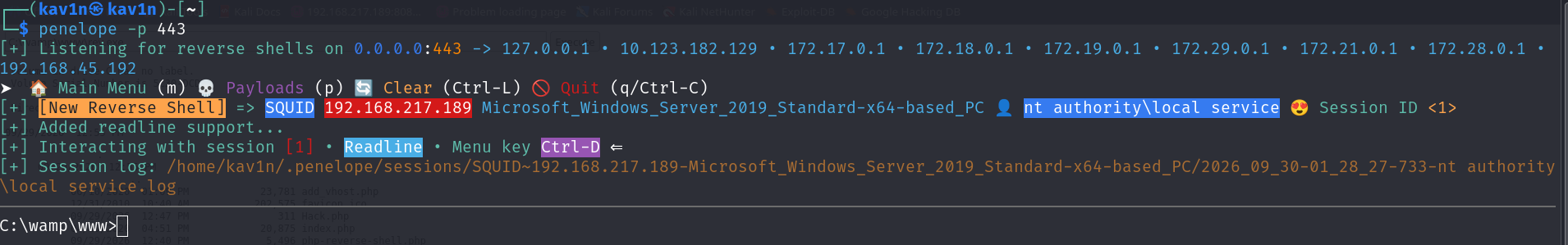 penelope catching a new reverse shell as nt authority\local service on host SQUID